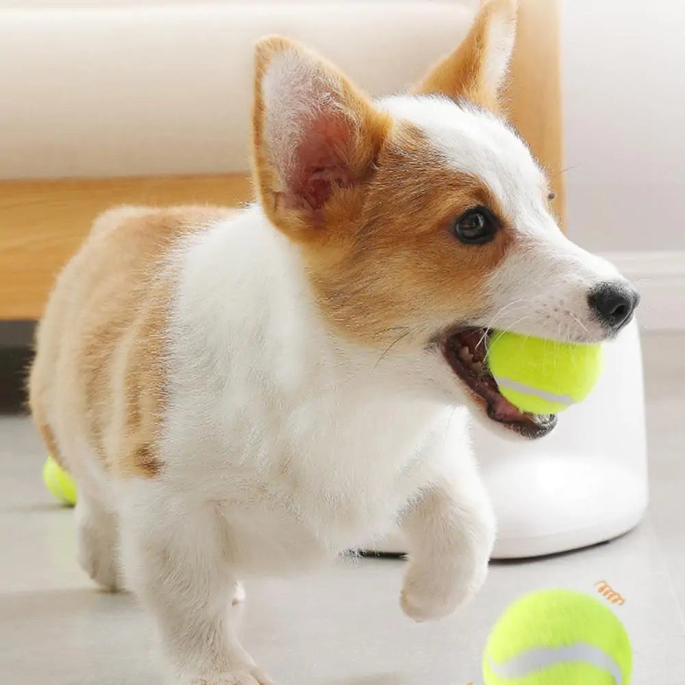 Tennisbal Werper - De Interactieve Speelgenoot voor je Hond